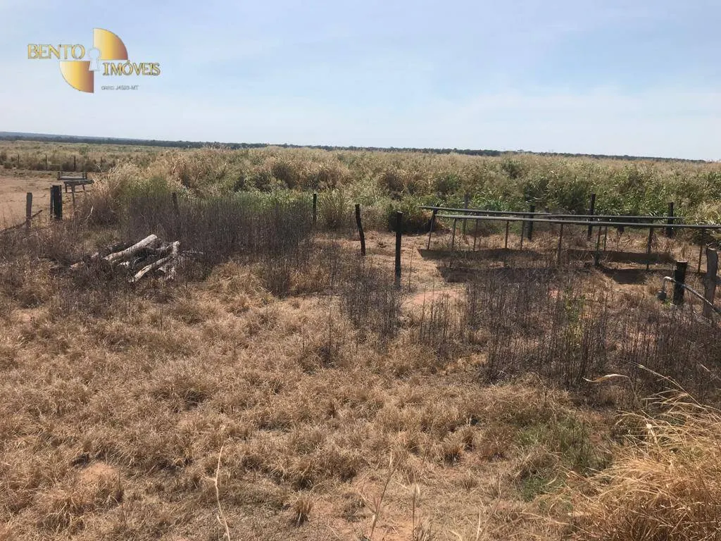 Fazenda à venda de 3.210 ha em Paranatinga, MT, Brasil