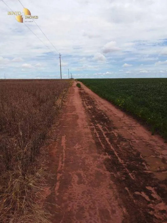Fazenda à venda de 3.210 ha em Paranatinga, MT, Brasil