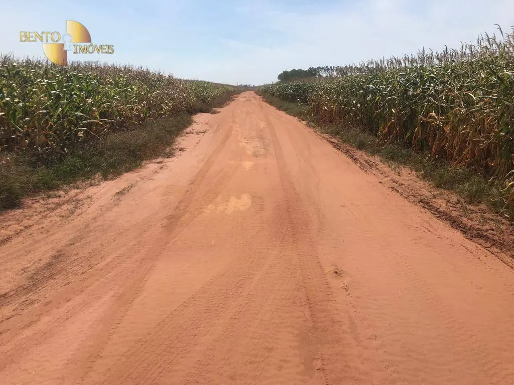 Fazenda à venda de 3.210 ha em Paranatinga, MT, Brasil