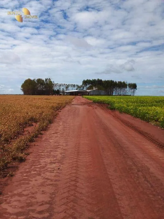 Fazenda à venda de 3.210 ha em Paranatinga, MT, Brasil