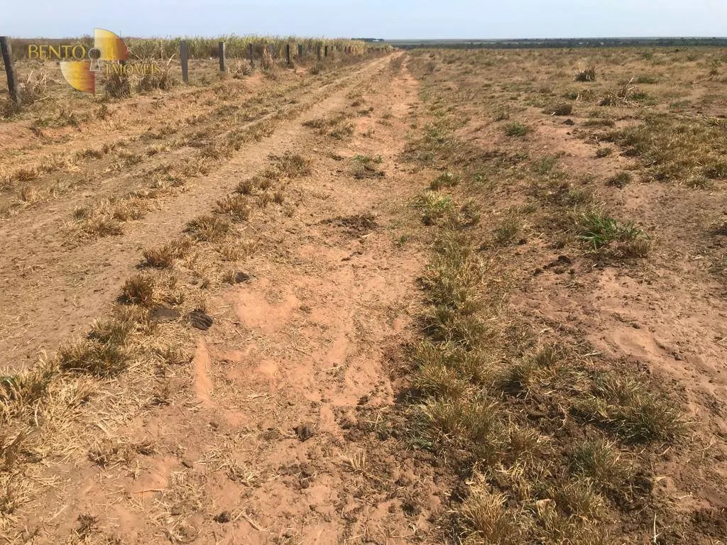 Fazenda à venda de 3.210 ha em Paranatinga, MT, Brasil