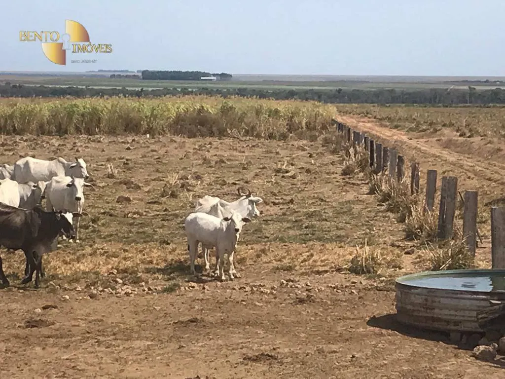 Fazenda à venda de 3.210 ha em Paranatinga, MT, Brasil