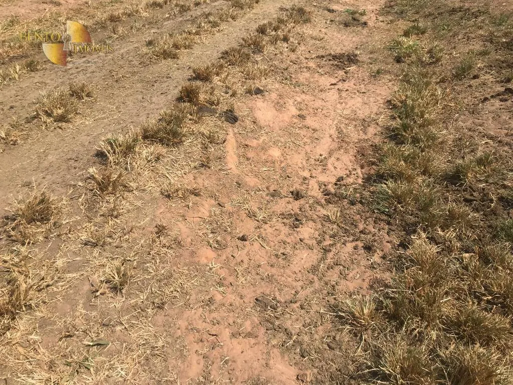 Fazenda à venda de 3.210 ha em Paranatinga, MT, Brasil