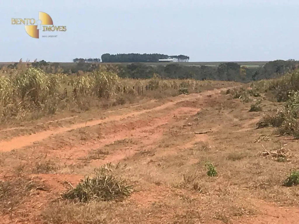 Fazenda à venda de 3.210 ha em Paranatinga, MT, Brasil