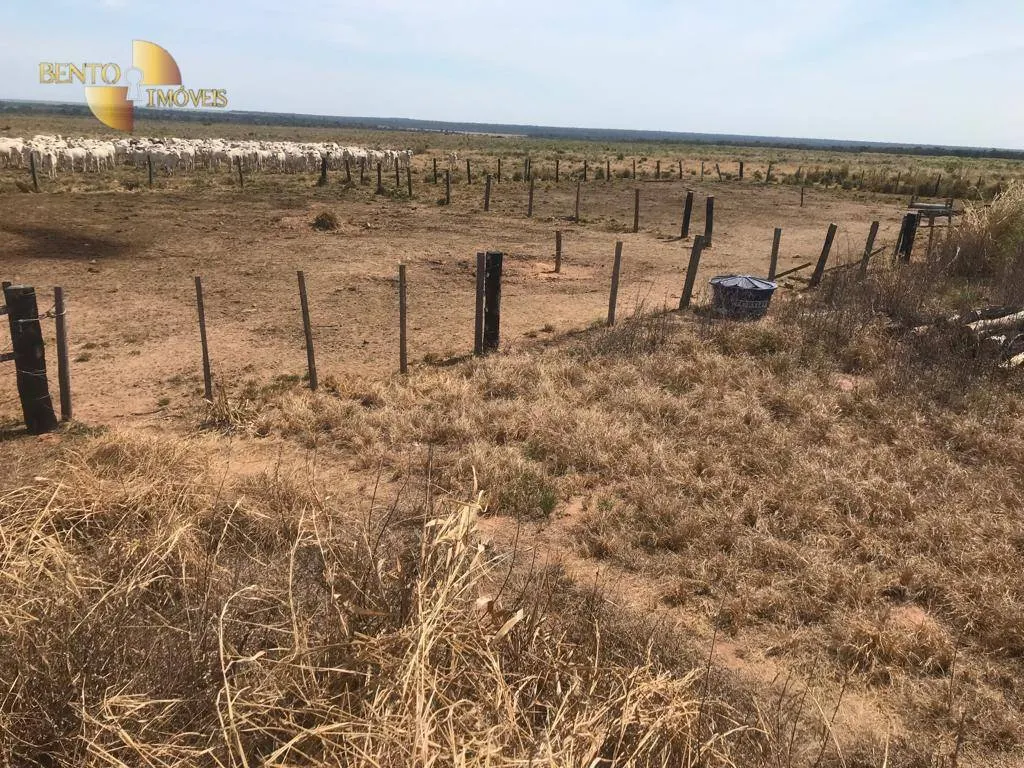 Fazenda à venda de 3.210 ha em Paranatinga, MT, Brasil