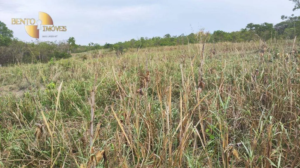 Fazenda à venda de 132 ha em Nossa Senhora do Livramento, MT, Brasil