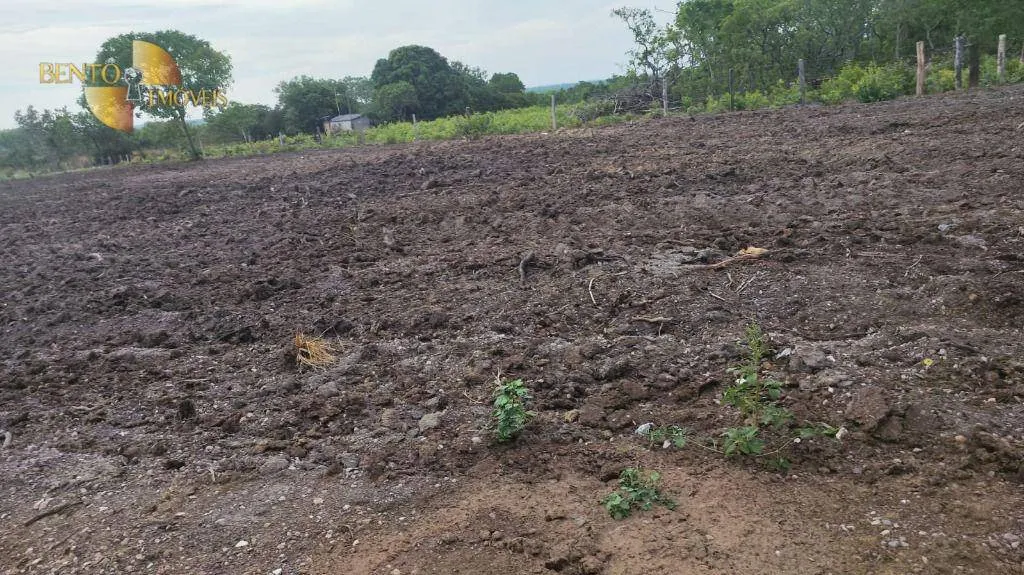 Fazenda à venda de 132 ha em Nossa Senhora do Livramento, MT, Brasil