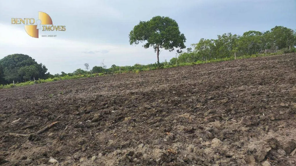 Fazenda à venda de 132 ha em Nossa Senhora do Livramento, MT, Brasil
