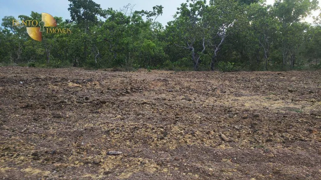 Fazenda à venda de 132 ha em Nossa Senhora do Livramento, MT, Brasil