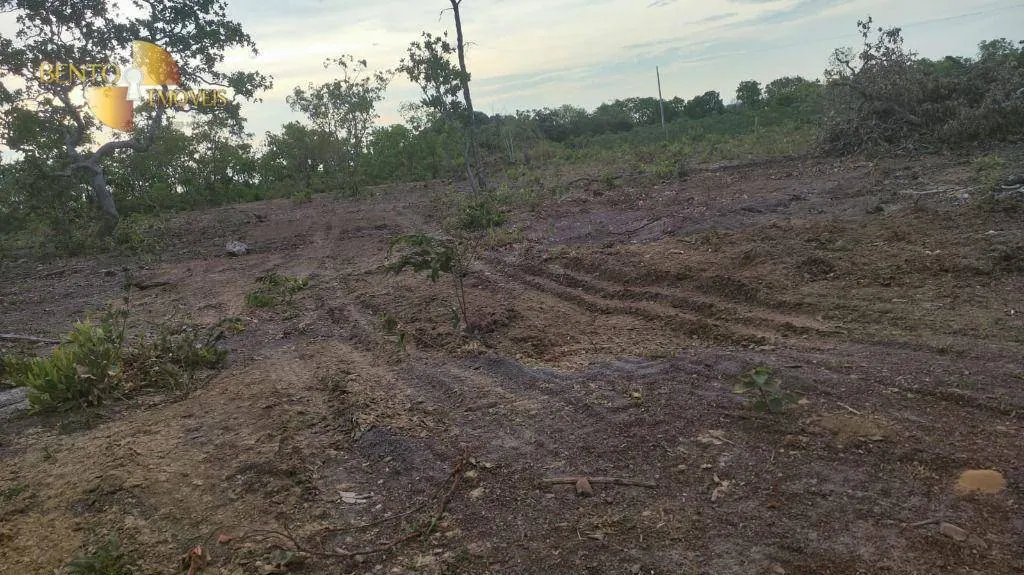 Fazenda à venda de 132 ha em Nossa Senhora do Livramento, MT, Brasil