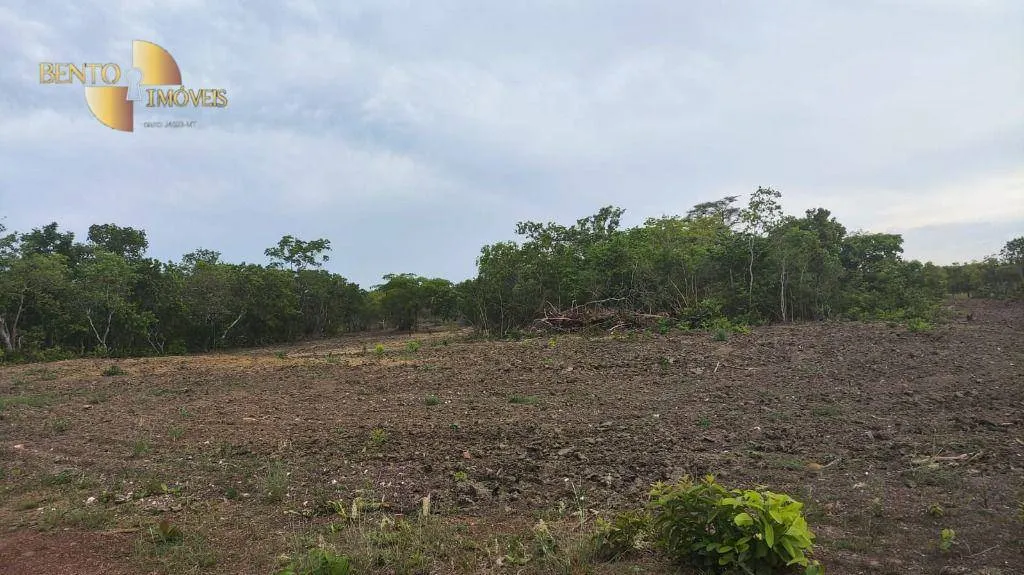 Fazenda à venda de 132 ha em Nossa Senhora do Livramento, MT, Brasil