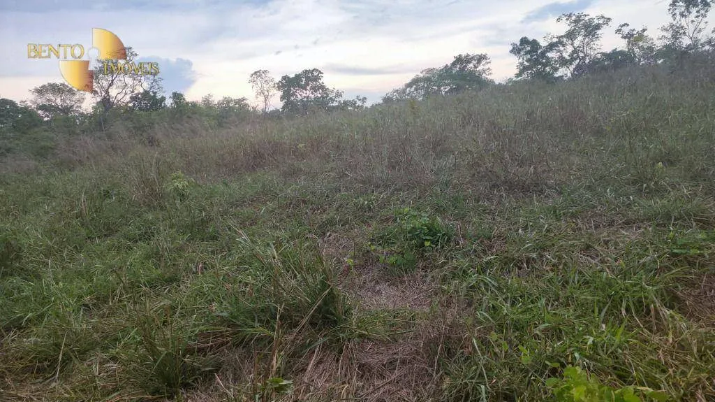 Fazenda à venda de 132 ha em Nossa Senhora do Livramento, MT, Brasil