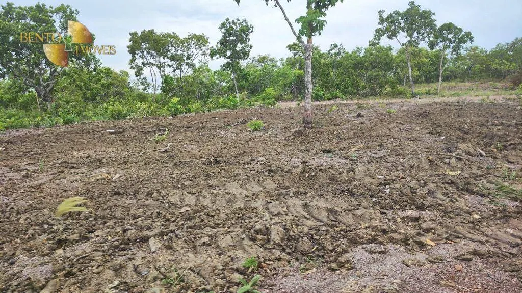 Fazenda à venda de 132 ha em Nossa Senhora do Livramento, MT, Brasil