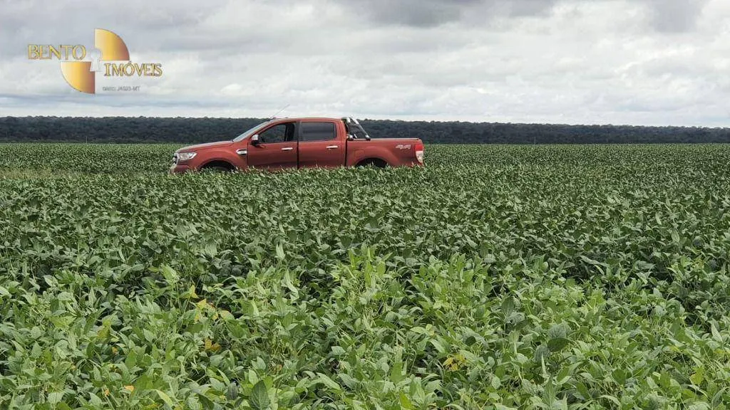 Fazenda à venda e para Arrendar de 1.295 ha em Bom Jesus do Araguaia, MT, Brasil