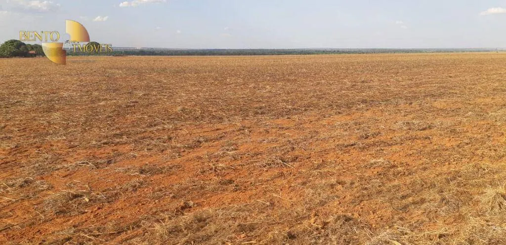 Fazenda à venda e para Arrendar de 1.295 ha em Bom Jesus do Araguaia, MT, Brasil