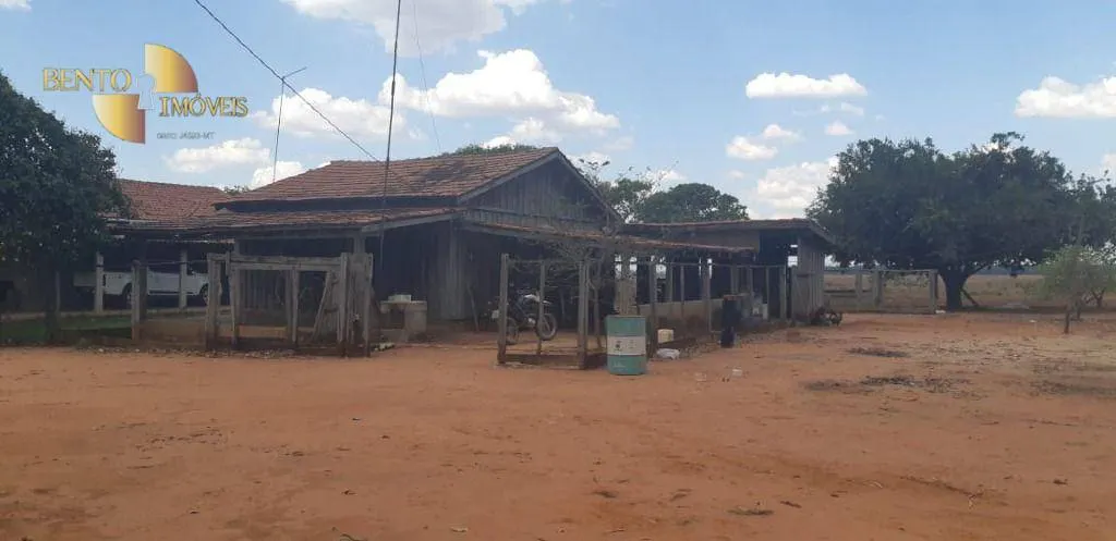 Fazenda à venda e para Arrendar de 1.295 ha em Bom Jesus do Araguaia, MT, Brasil