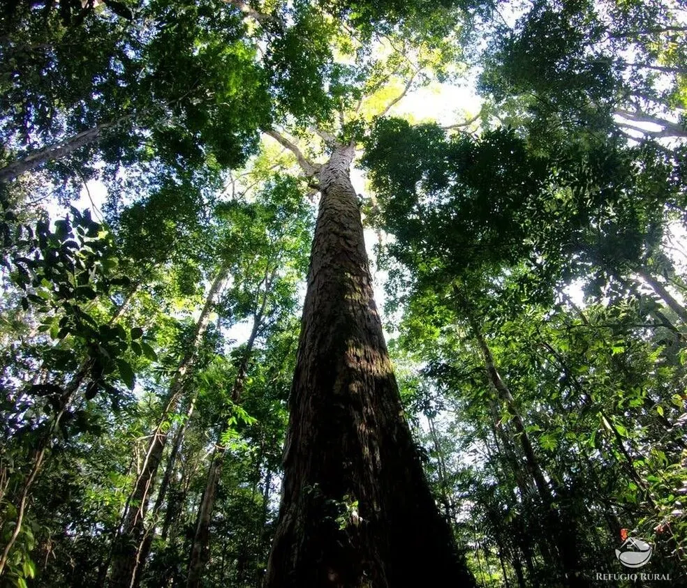 Fazenda à venda de 2.500 ha em Boa Vista, RR, Brasil