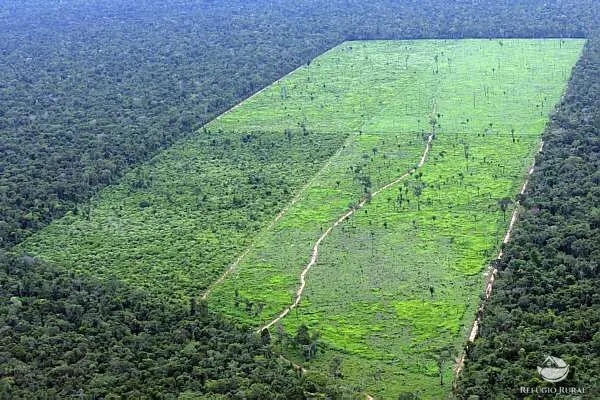 Fazenda à venda de 2.500 ha em Boa Vista, RR, Brasil