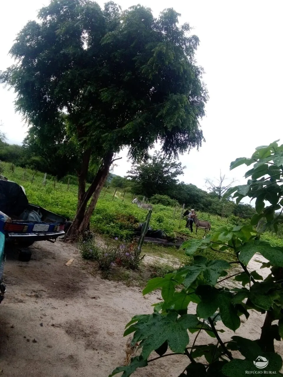 Fazenda à venda de 2.350 ha em Morpará, BA, Brasil