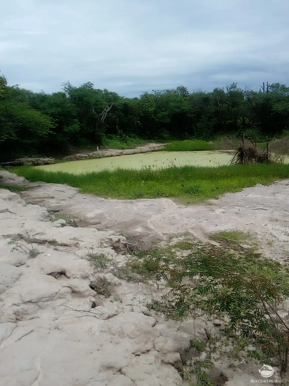 Fazenda à venda de 2.350 ha em Morpará, BA, Brasil