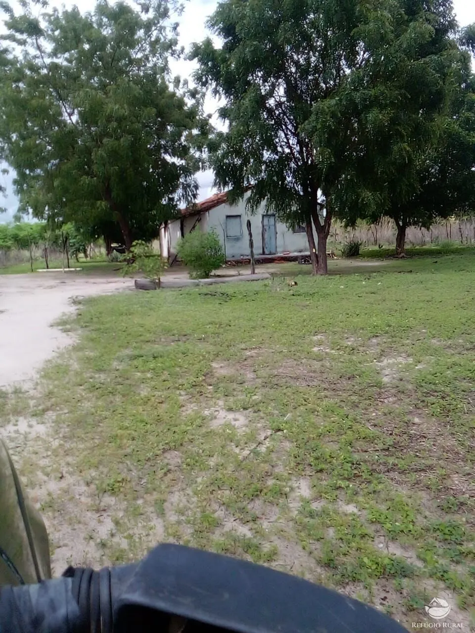 Fazenda à venda de 2.350 ha em Morpará, BA, Brasil