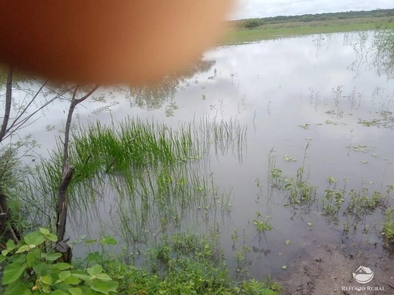 Fazenda à venda de 2.350 ha em Morpará, BA, Brasil