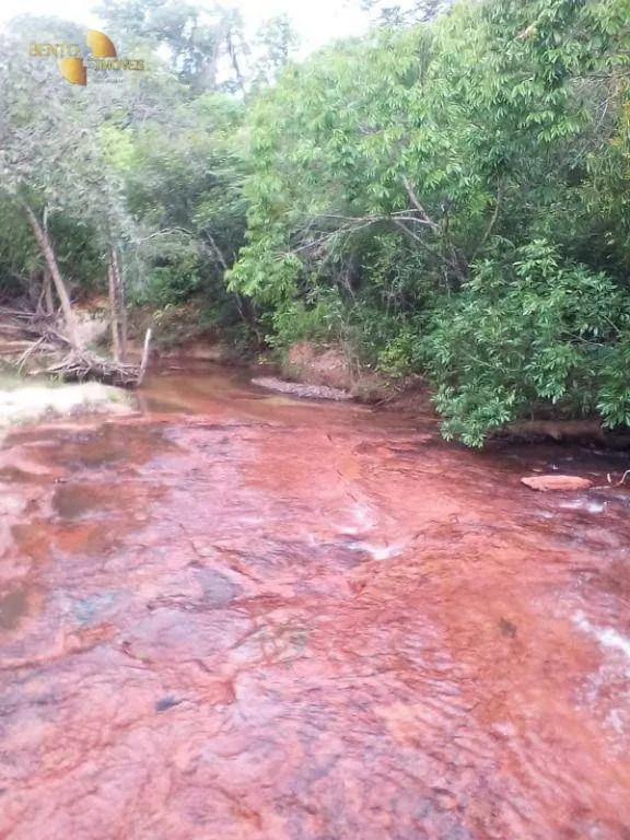 Farm for sale of 1,483 acres in Primavera do Leste, MT, Brazil