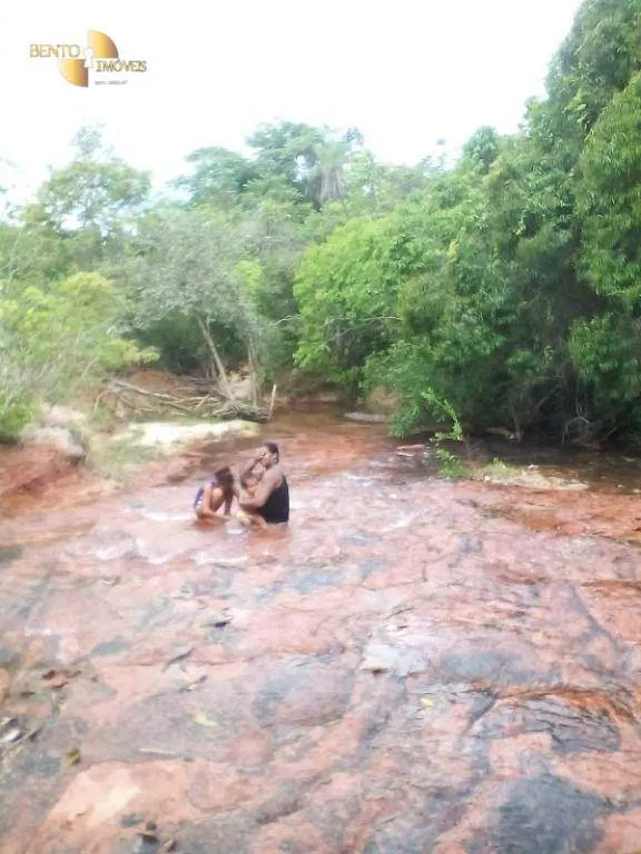 Farm for sale of 1,483 acres in Primavera do Leste, MT, Brazil