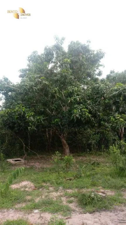 Farm for sale of 1,483 acres in Primavera do Leste, MT, Brazil
