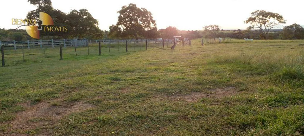 Fazenda à venda de 1.000 ha em Poconé, MT, Brasil