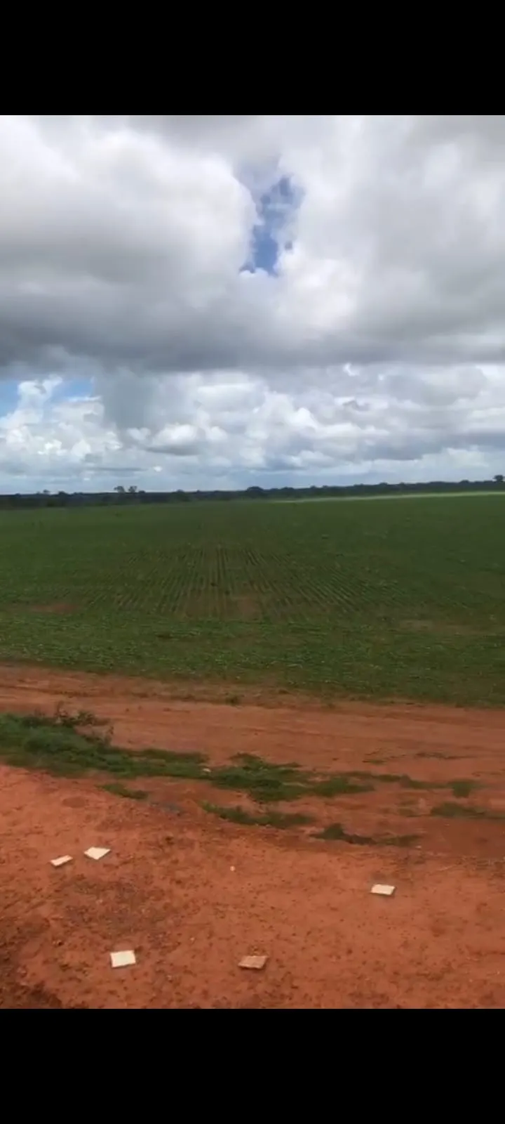 Fazenda à venda de 1.000 ha em João Pinheiro, MG, Brasil
