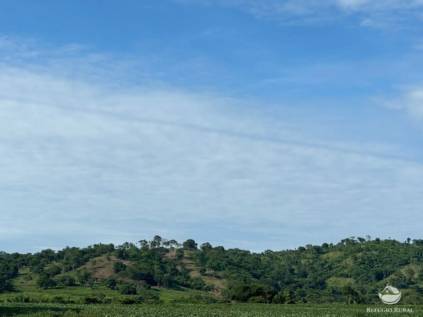 Fazenda à venda de 677 ha em São Luís de Montes Belos, GO, Brasil