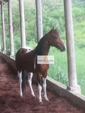 Small farm for sale of 69 acres in Monteiro Lobato, SP, Brazil