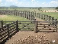 Fazenda à venda de 5.482 ha em Pedro Gomes, MS, Brasil