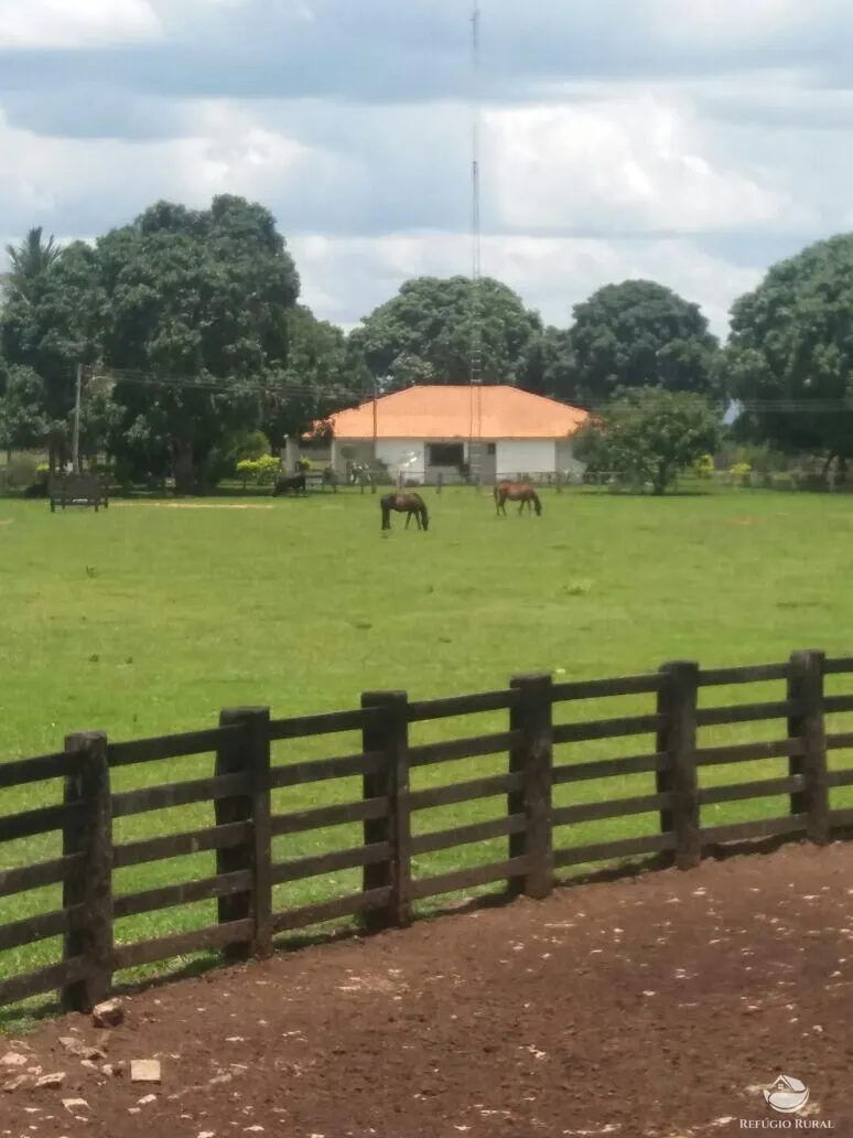 Fazenda à venda de 5.482 ha em Pedro Gomes, MS, Brasil