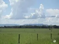 Fazenda à venda de 5.482 ha em Pedro Gomes, MS, Brasil