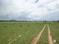 Fazenda à venda de 5.482 ha em Pedro Gomes, MS, Brasil