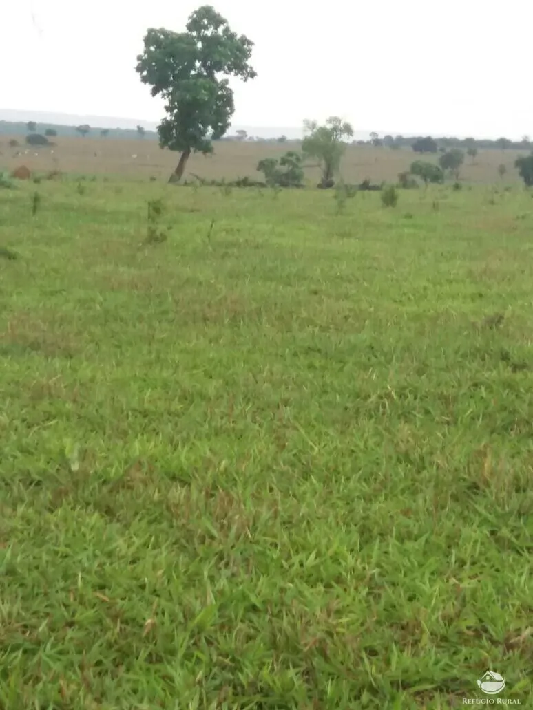 Fazenda à venda de 5.482 ha em Pedro Gomes, MS, Brasil