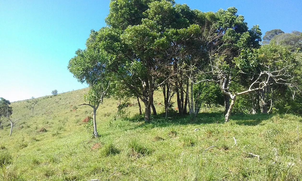 Terreno à venda de 7 ha em Monteiro Lobato, SP, Brasil