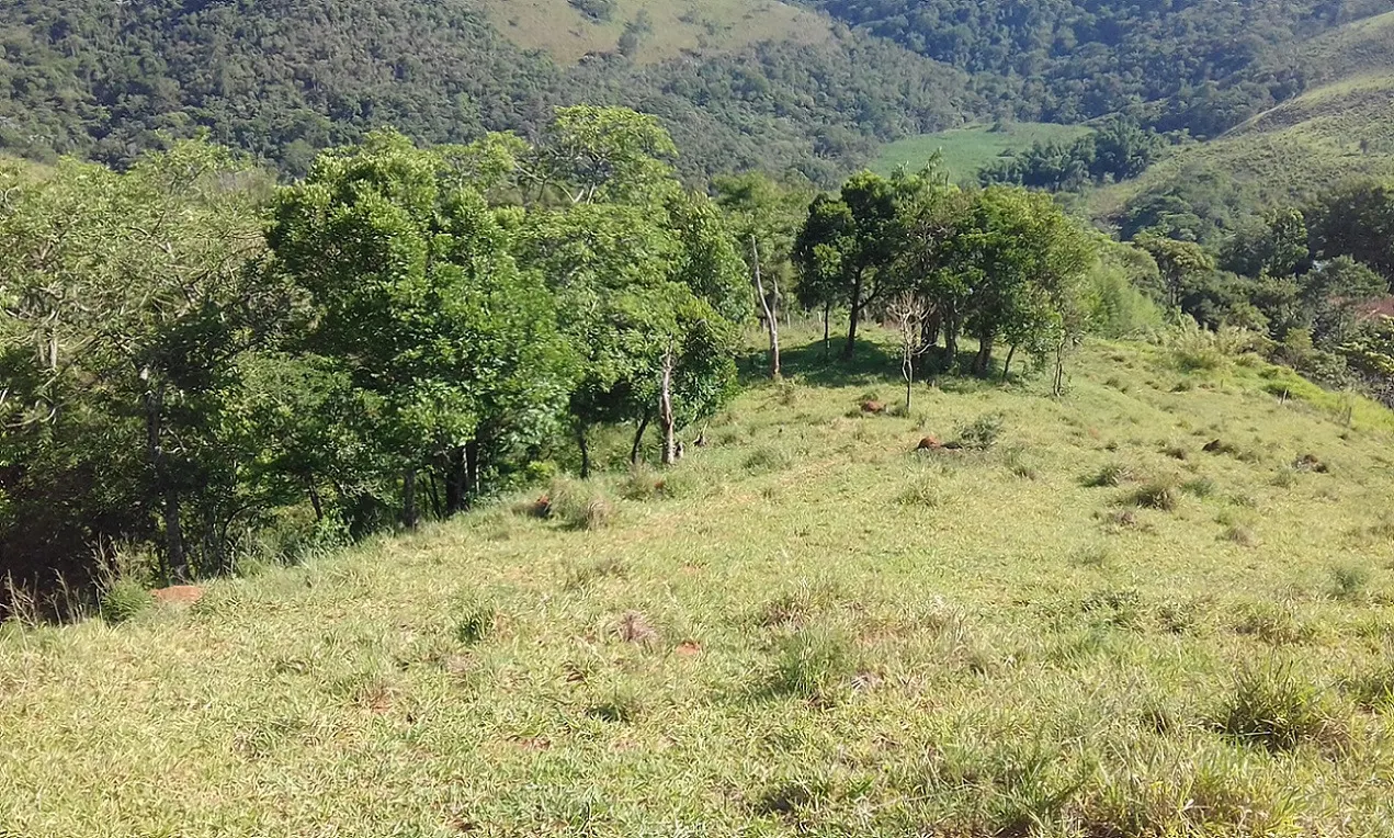 Terreno à venda de 7 ha em Monteiro Lobato, SP, Brasil