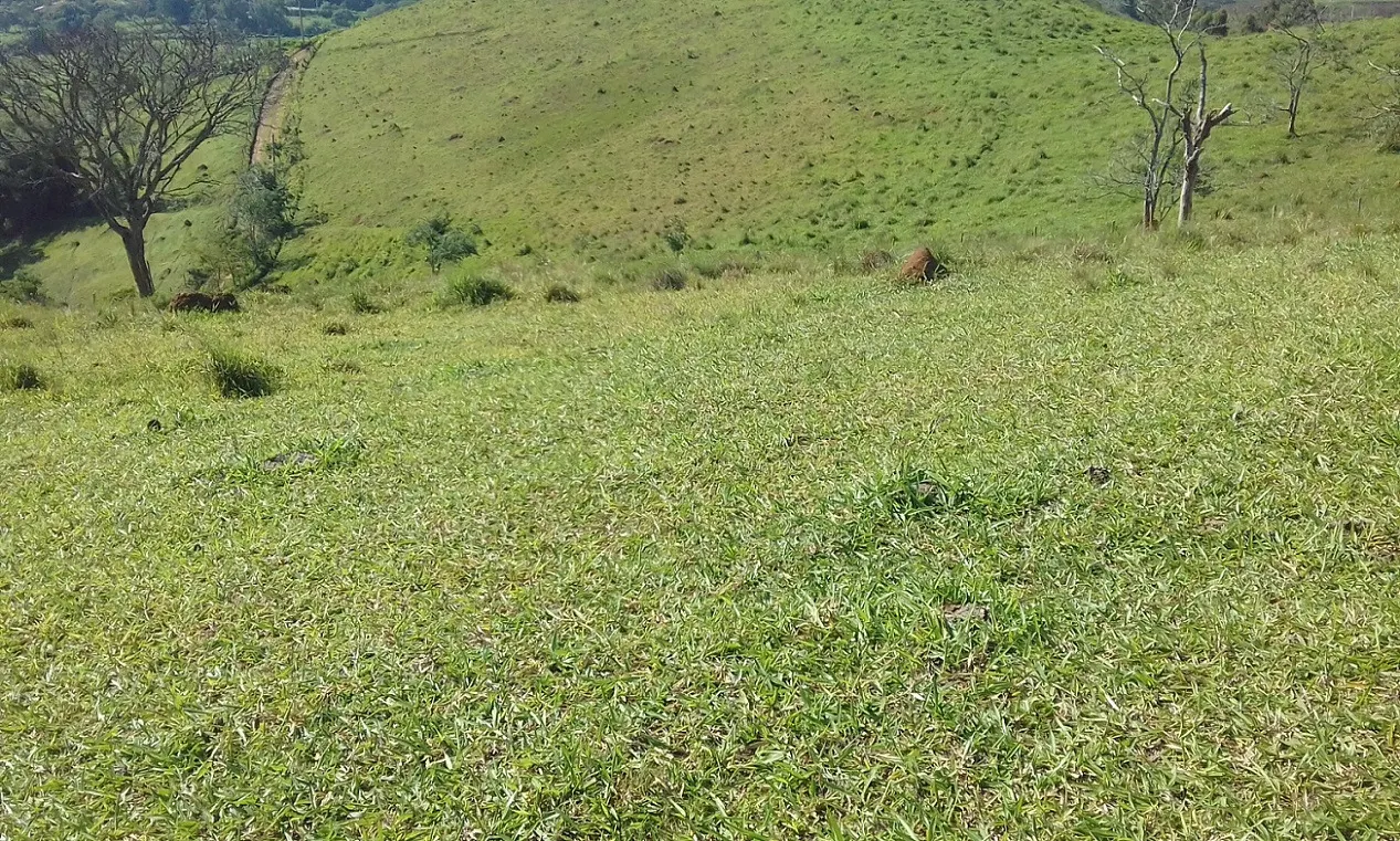 Terreno à venda de 7 ha em Monteiro Lobato, SP, Brasil