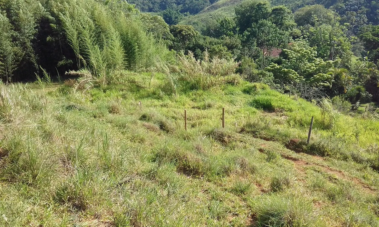 Terreno à venda de 7 ha em Monteiro Lobato, SP, Brasil