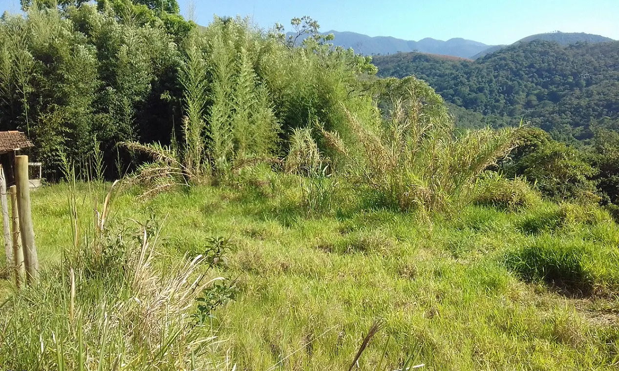 Terreno à venda de 7 ha em Monteiro Lobato, SP, Brasil