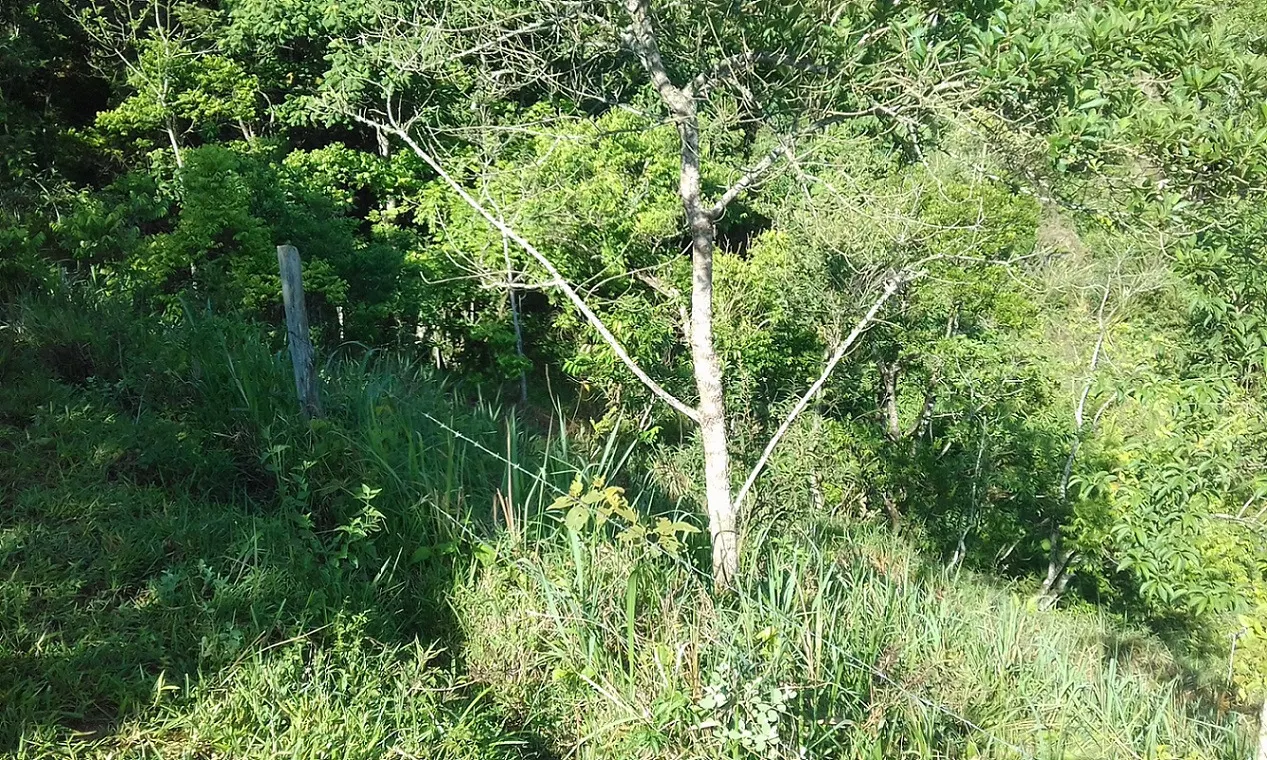 Terreno à venda de 7 ha em Monteiro Lobato, SP, Brasil