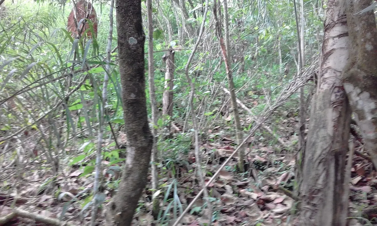 Terreno à venda de 7 ha em Monteiro Lobato, SP, Brasil