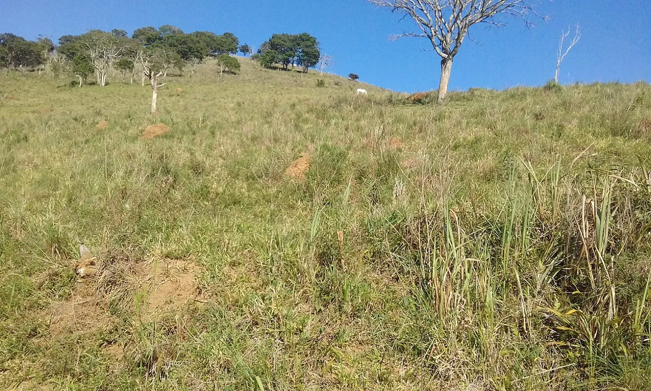Terreno à venda de 7 ha em Monteiro Lobato, SP, Brasil