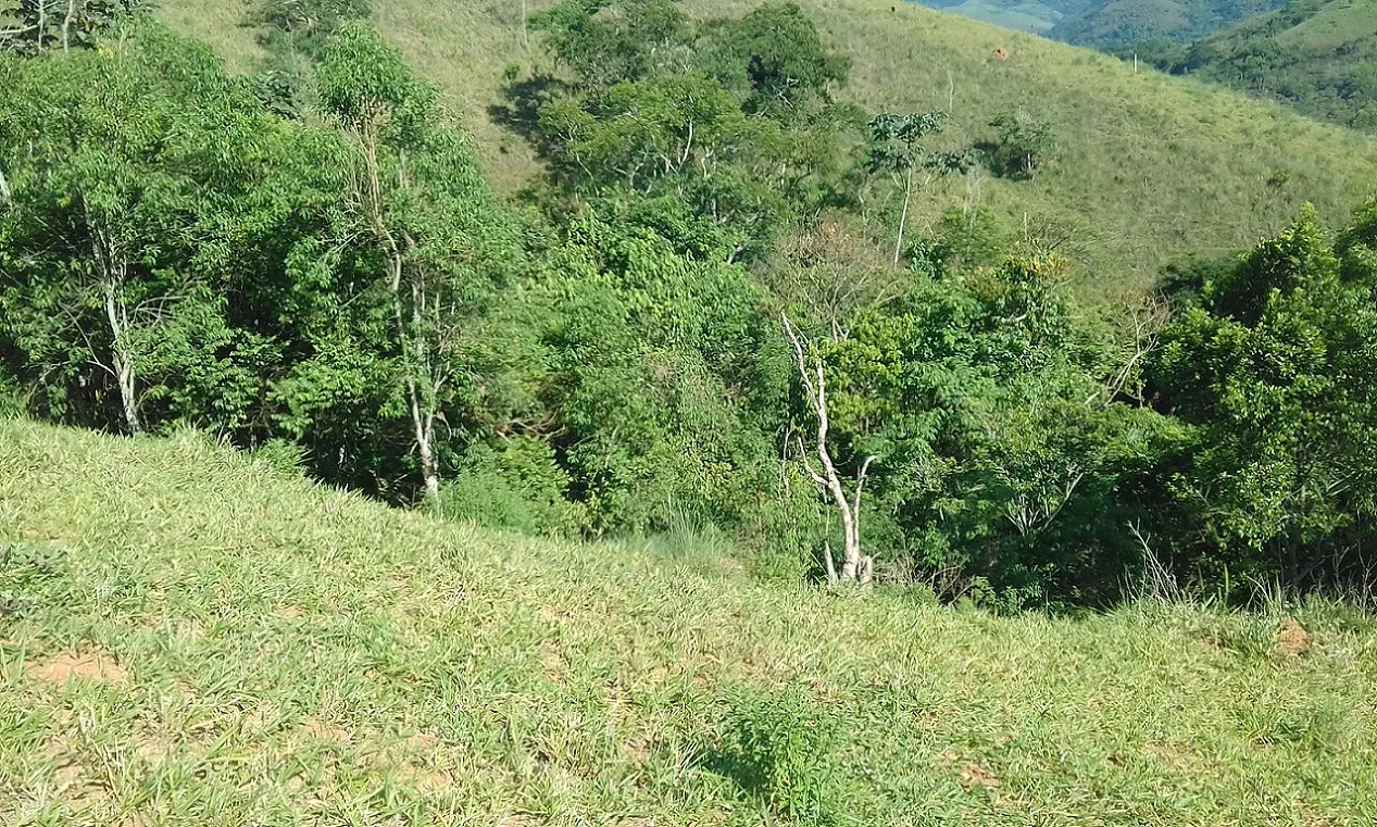 Terreno à venda de 7 ha em Monteiro Lobato, SP, Brasil