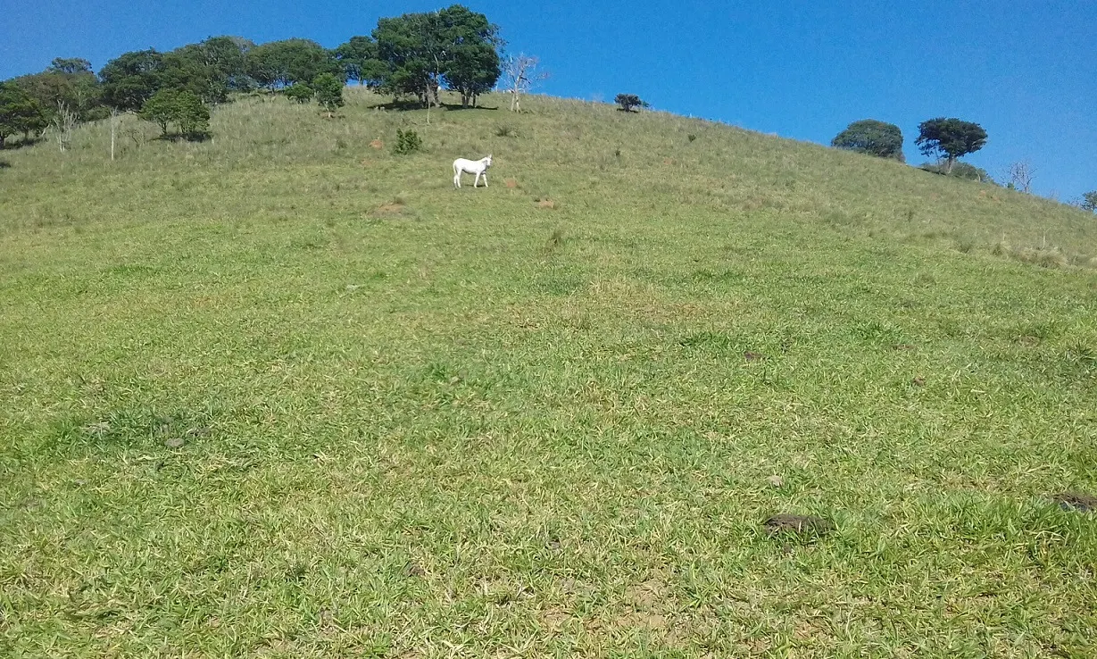 Terreno à venda de 7 ha em Monteiro Lobato, SP, Brasil
