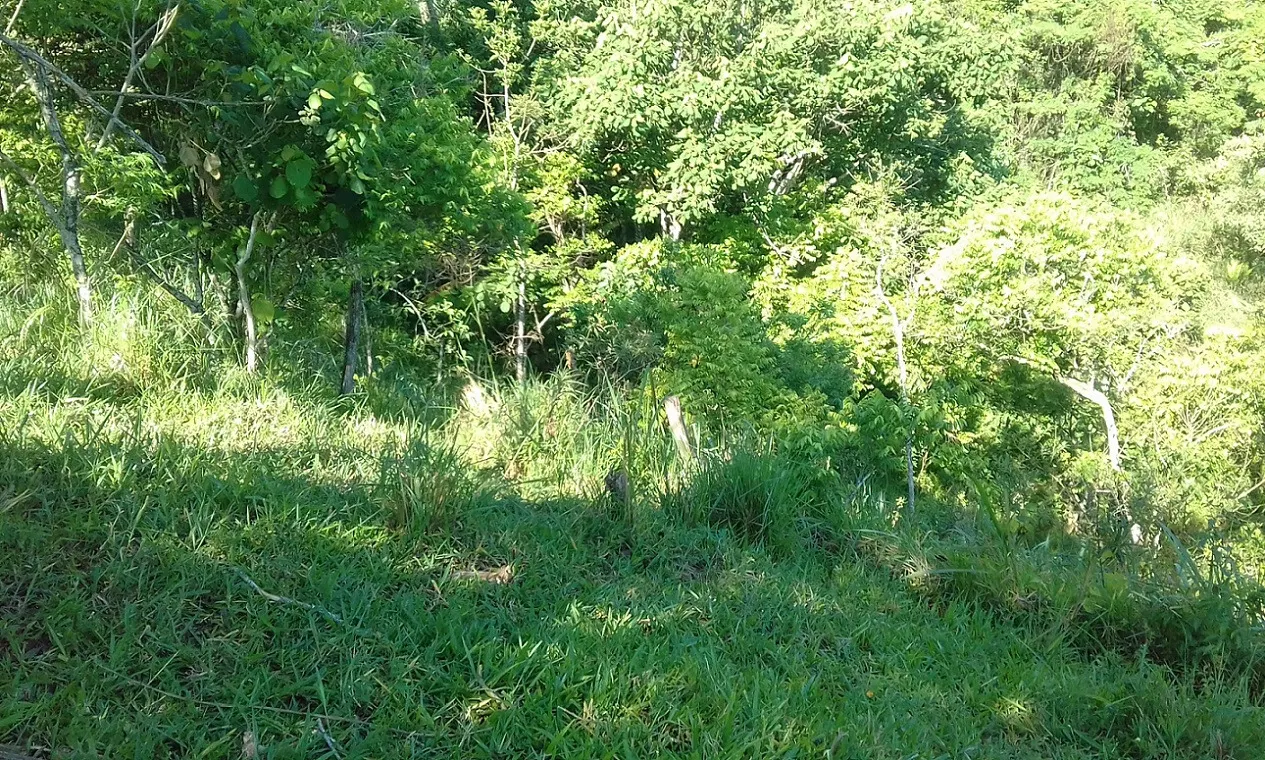 Terreno à venda de 7 ha em Monteiro Lobato, SP, Brasil