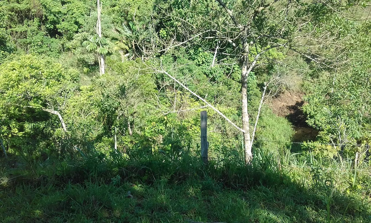 Terreno à venda de 7 ha em Monteiro Lobato, SP, Brasil